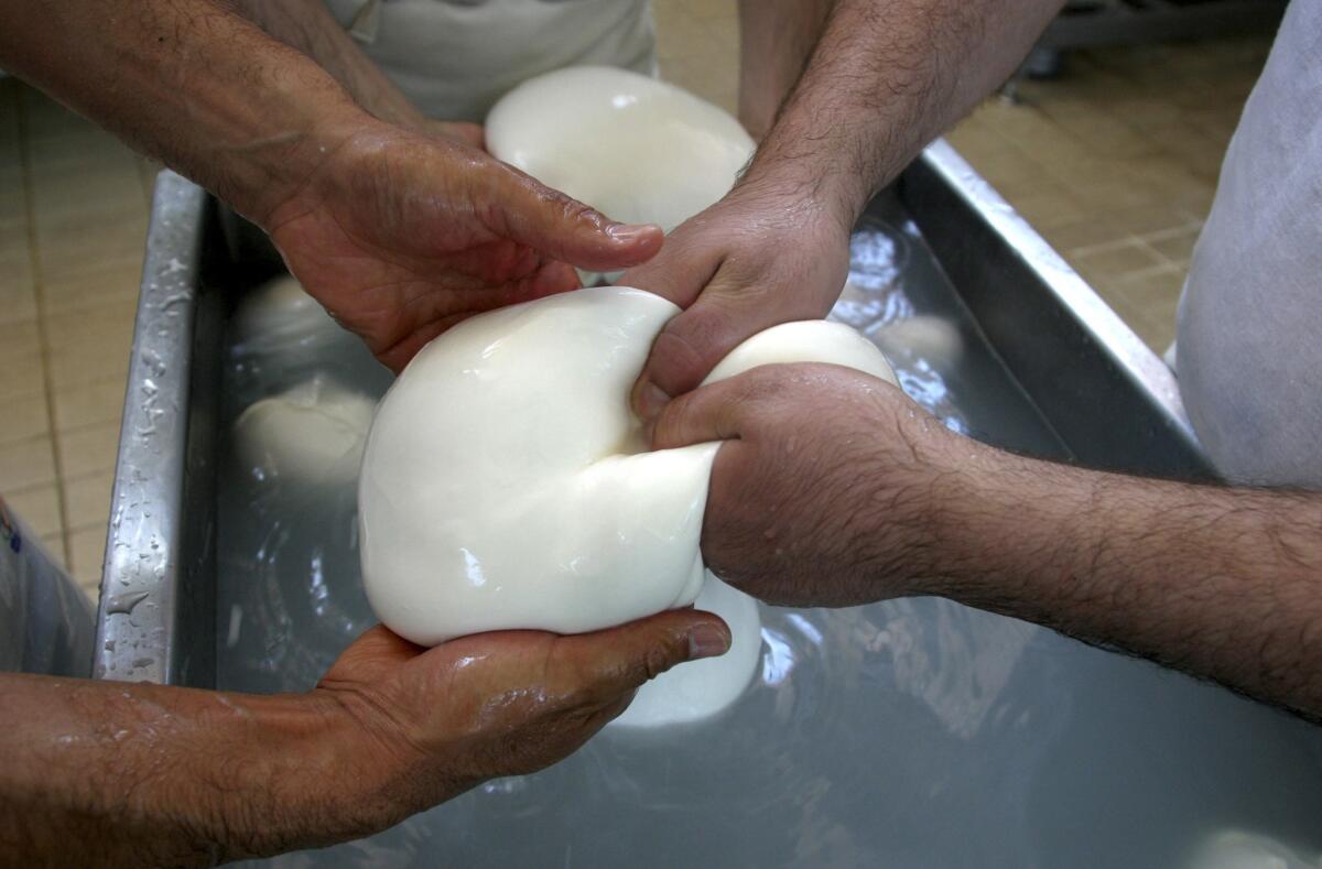 Italian officials closed a cheese factory and arrested 13 people, saying its buffalo mozzarella cheese was made in part from cheaper cow's milk.