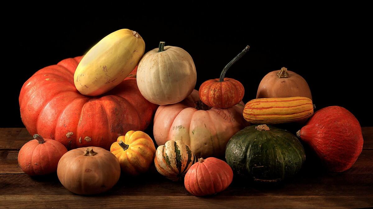 A variety of winter squash.