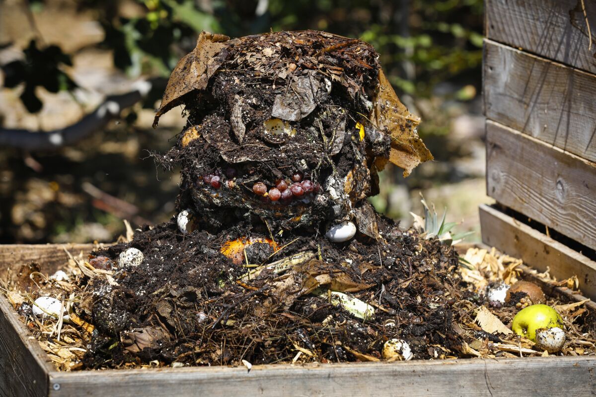 A pile of composting food scraps in one of several smart stack composting stacks.