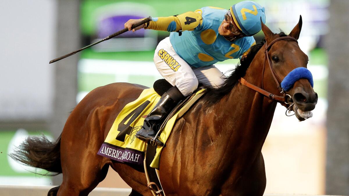 American Pharoah, with Victor Espinoza aboard, wins the Breeders' Cup Classic by 6 1/2 lengths on Saturday at Keeneland Racecourse.