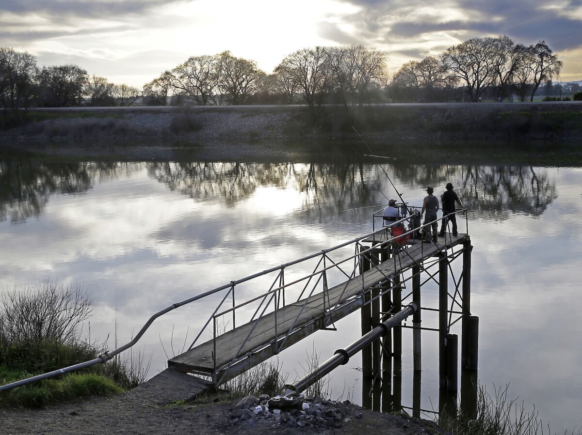 People fish along the Sacramento River in 2016 near Courtland, Calif.