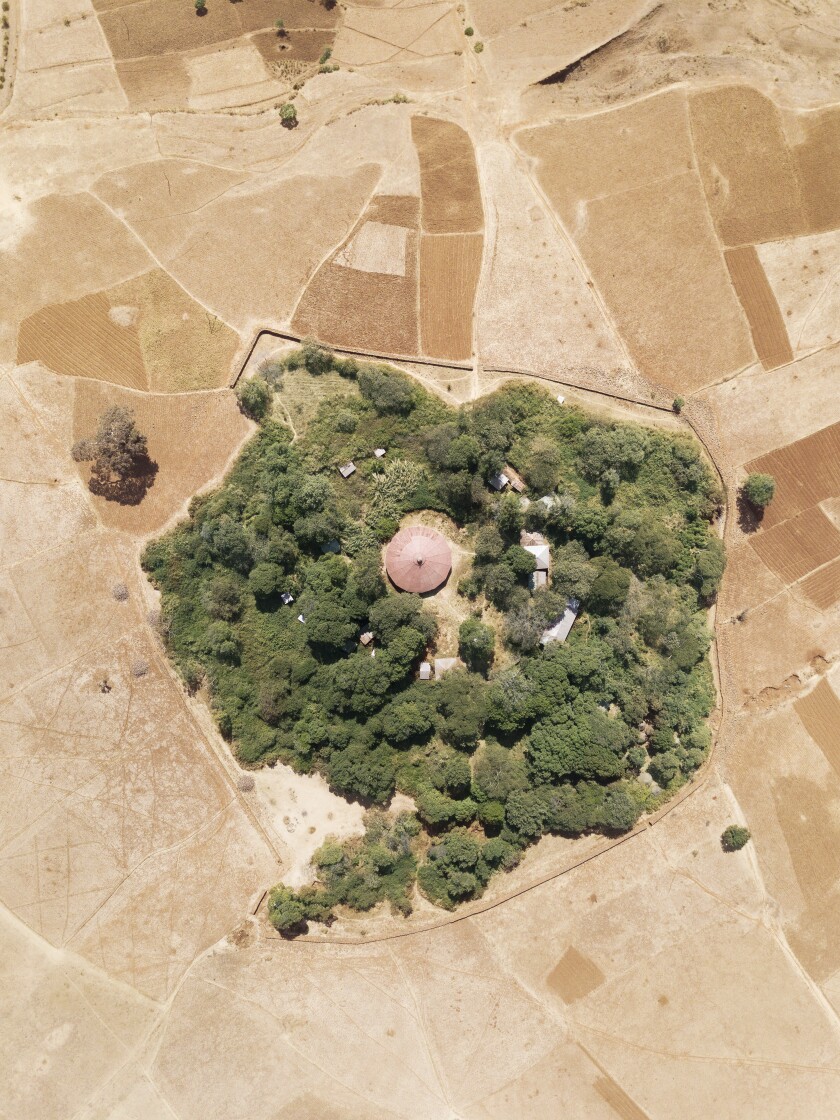 An overhead view shows an island of green trees surrounding a church in land that has been stripped for agriculture.
