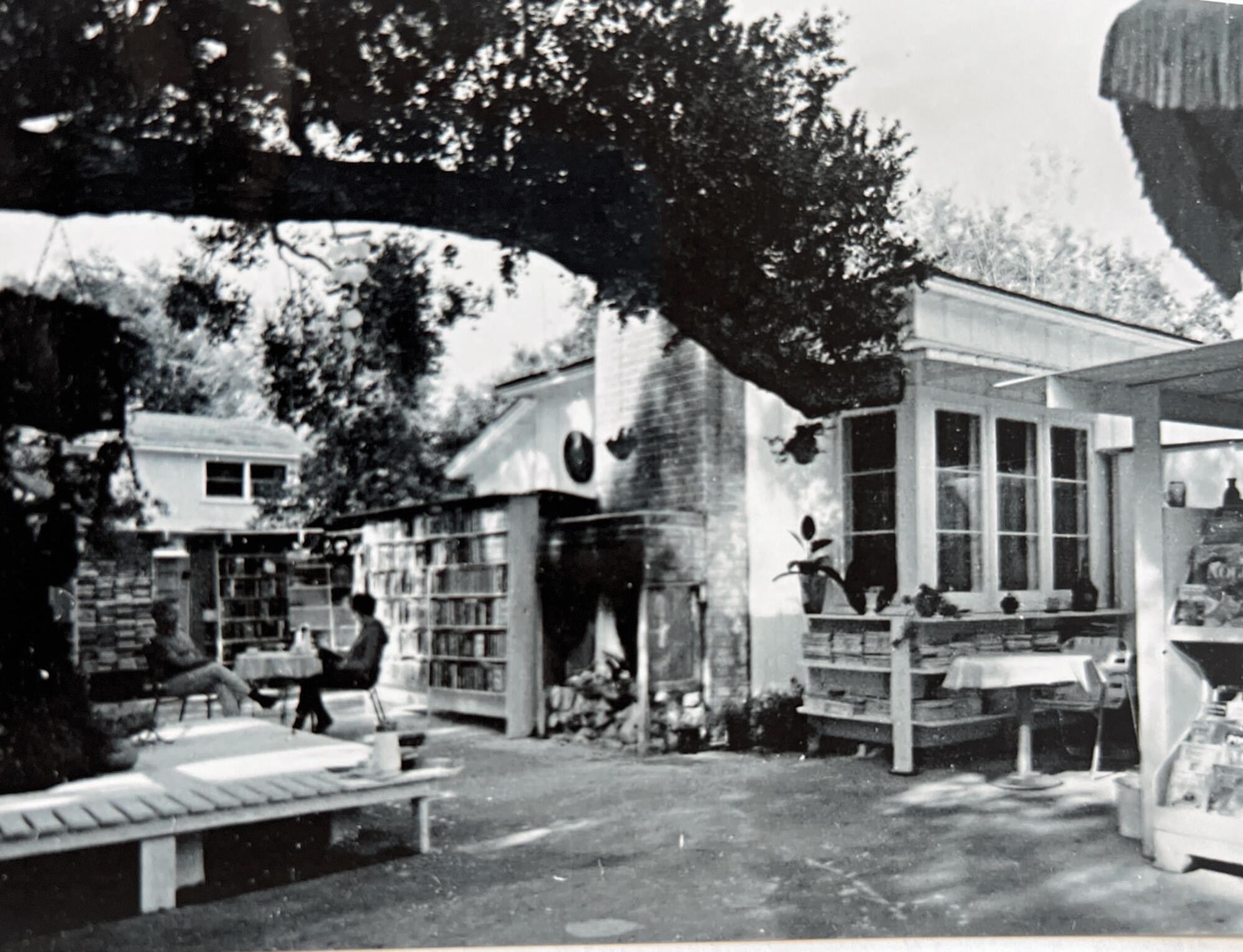 A black-and-white photo of the courtyard and oak tree at Bart's Books.
