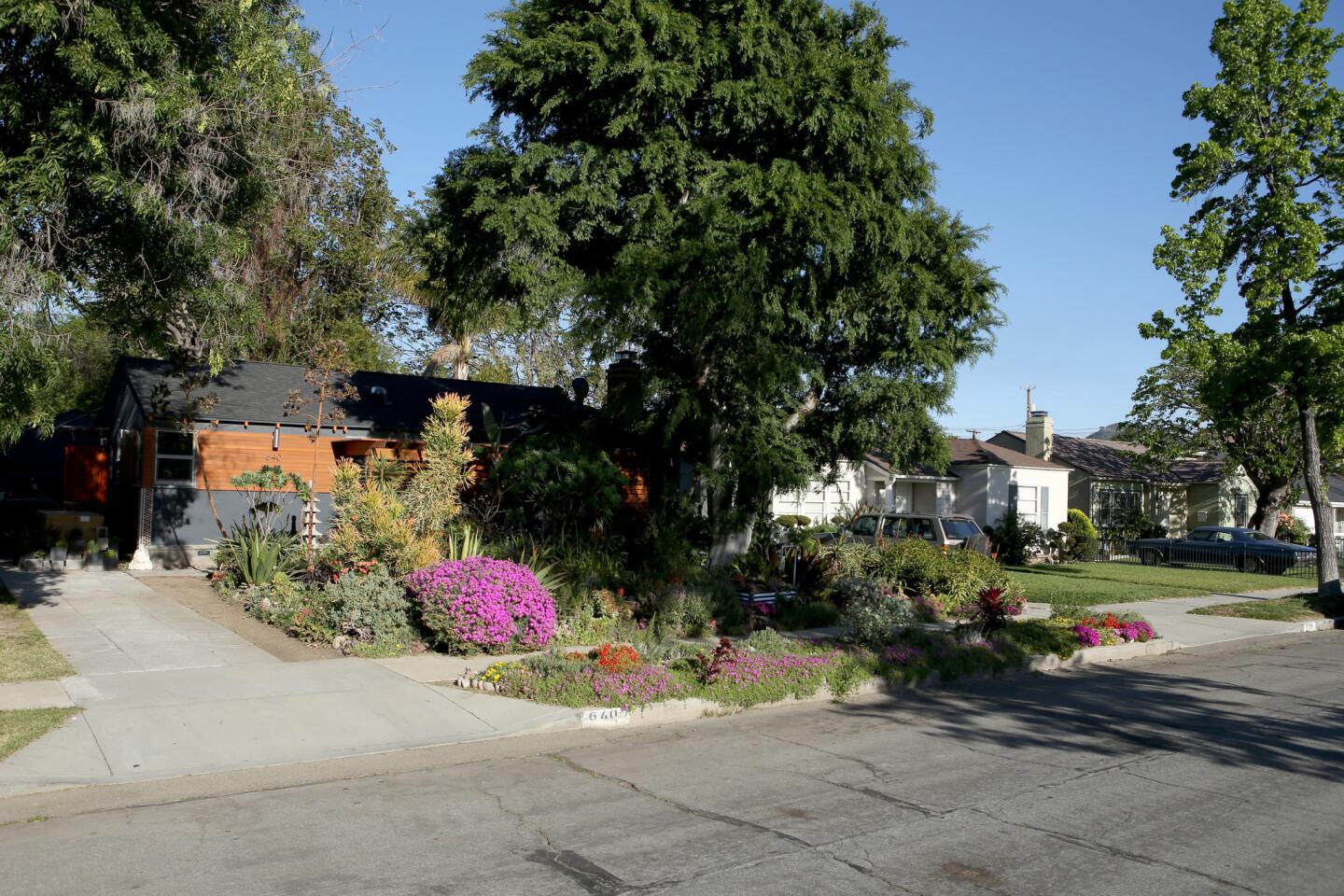 This Burbank drought garden is anything but dull