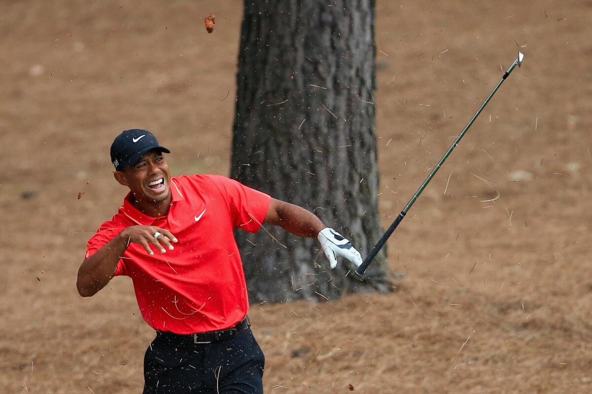 Tiger Woods struck a tree root mid-swing while hitting from pine straw.