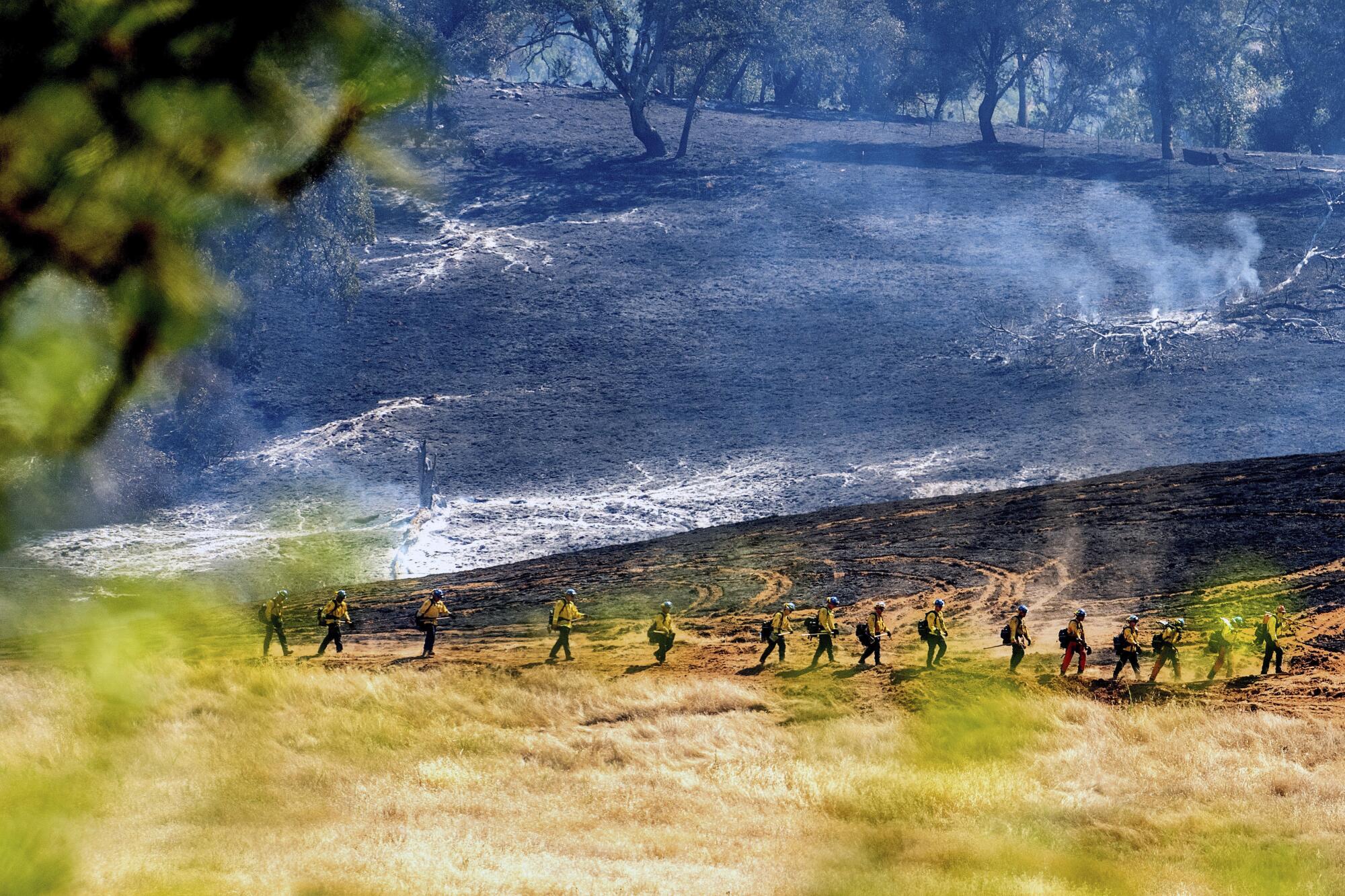 Firefighters in heavy gear walk in a line near scorched ground. 