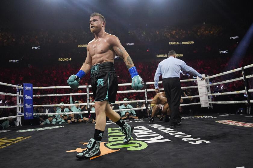 ARCHIVO - El mexicano Saúl "Canelo" Álvarez, se aleja a su esquina luego de derribar a Jaime Munguía en una pelea por el título de los supermedianos en Las Vegas, el 4 de mayo de 2024 (AP Foto/John Locher, archivo)