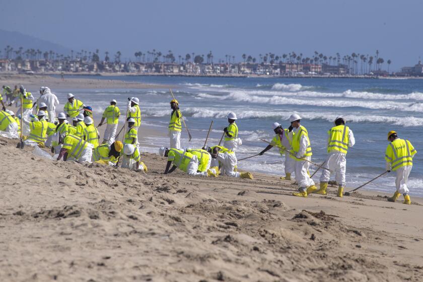 Huntington Beach, CA - October 10: Oil spill cleanup crew members from New Jersey clean up the oil spill at Huntington State Beach in Huntington Beach Sunday, Oct. 10, 2021. Environmental cleanup crews are spreading out across Huntington Beach and Newport Beach to cleanup the damage from a major oil spill off the Orange County coast that left crude spoiling beaches, killing fish and birds and threatening local wetlands. (Allen J. Schaben / Los Angeles Times)
