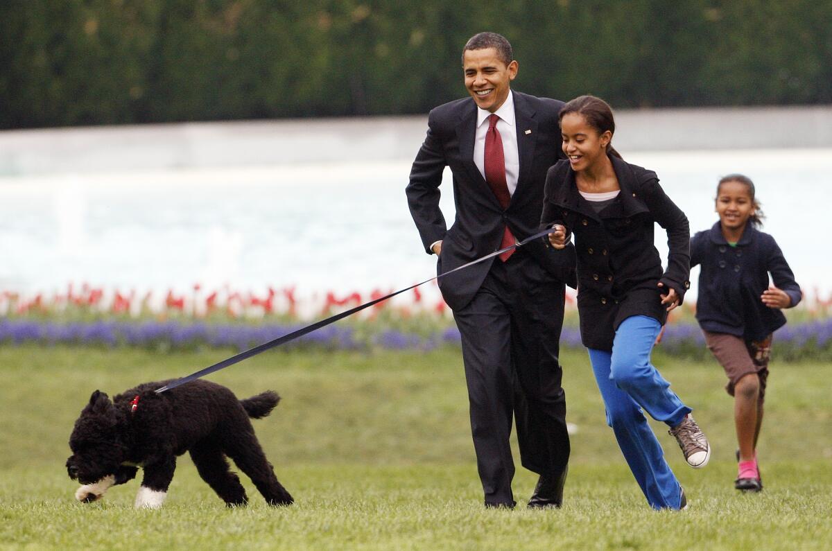 FILE - Int his April 14, 2009, file photo Malia Obama runs with Bo, followed by President Barack Obama and Sasha Obama, on the South Lawn of the White House in Washington. Former President Barack Obama’s dog, Bo, died Saturday, May 8, 2021, after a battle with cancer, the Obamas said on social media. (AP Photo/Ron Edmonds, File)