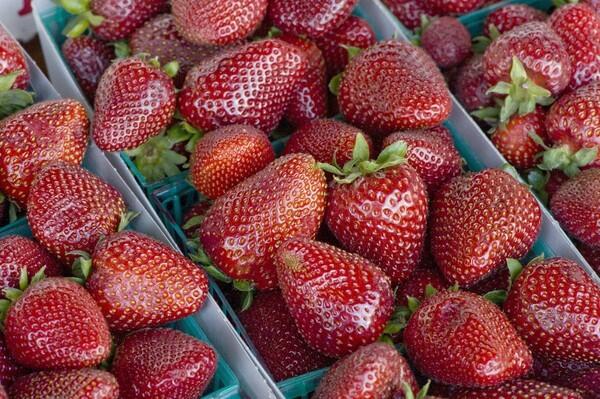 Gaviota strawberries