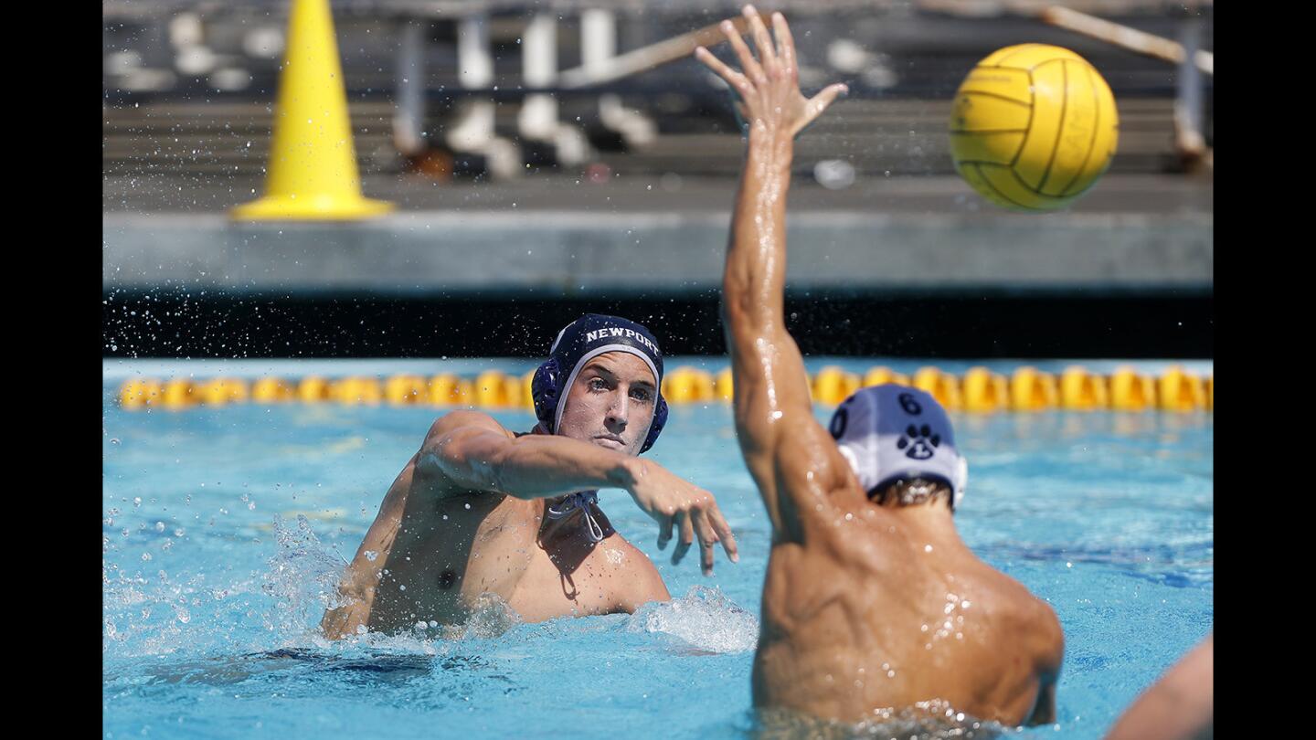 Photo gallery: Newport Harbor vs. Loyola in boys' water polo