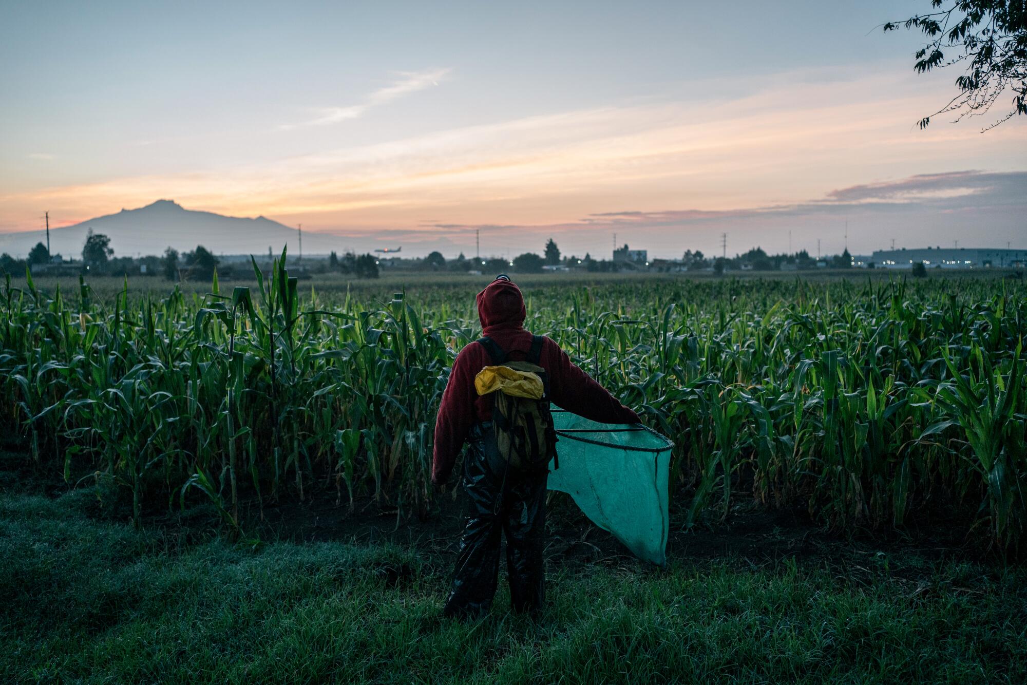 Ricardo Tepale Arevalo, 20, rests while hunting for grasshoppers at sunrise