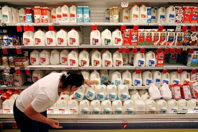 A shopper checks the expiration dates on milk at a supermarket. Experts say the current labeling system is misleading.