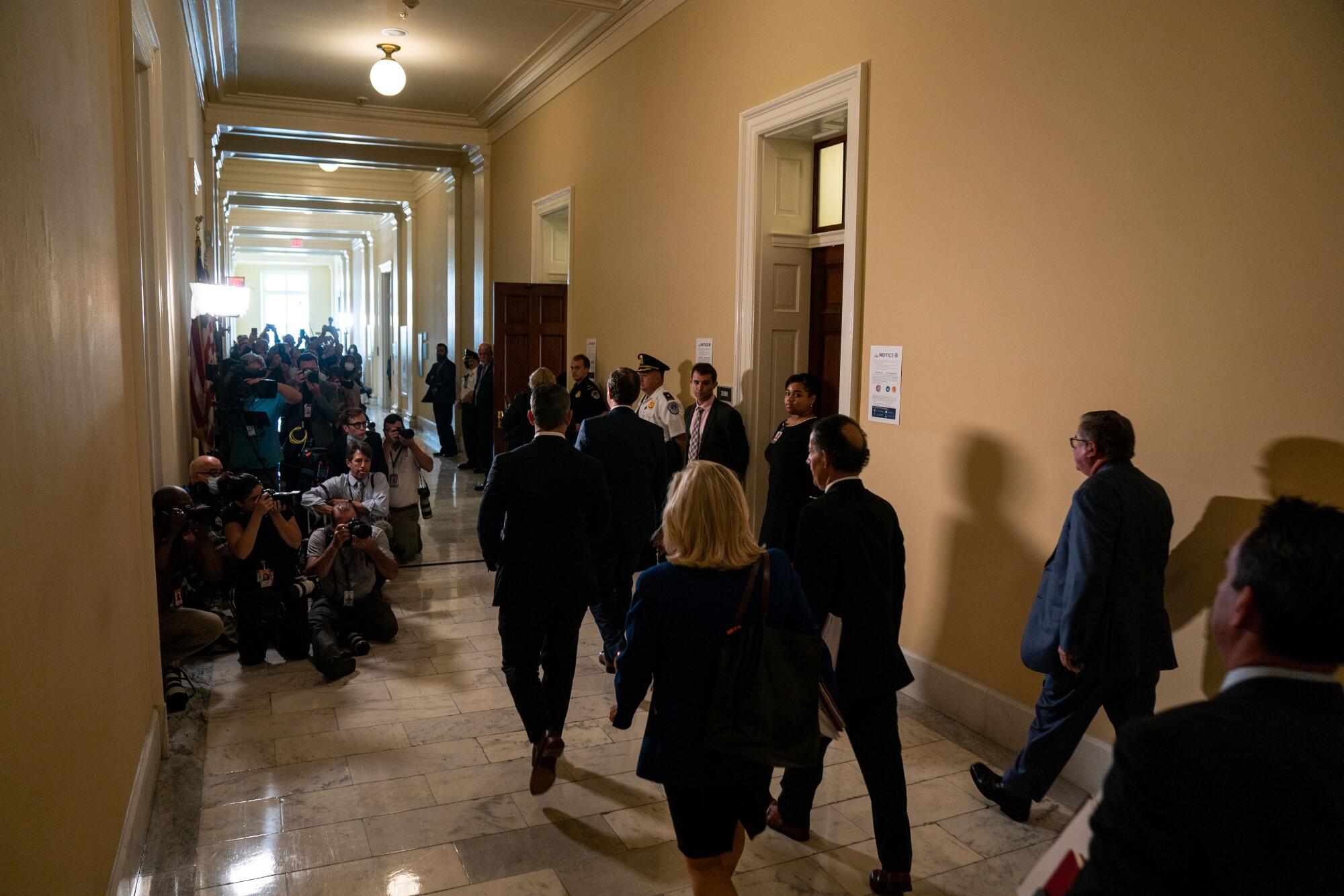 Members of a House select committee