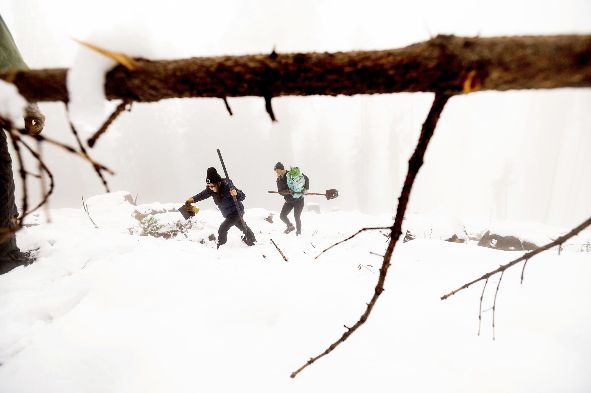 Two people holding shovels are seen in a snow-covered landscape
