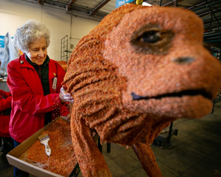 Jacque Giuffre, of San Francisco, applies dehydrated carrots to a monkey that is part of the UPS Store Rose Bowl Parade float on Friday, Dec. 27, 2019 in Irwindale, California.