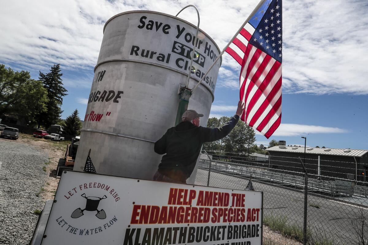  A man adjusts a U.S. flag above a sign that reads, in part, "Help amend the Endangered Species Act."