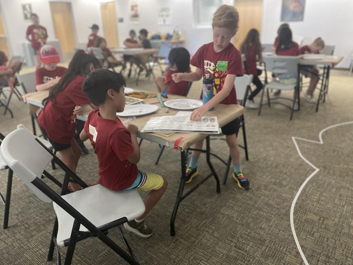 Summer campers learn to sort fossils from San Pedro.