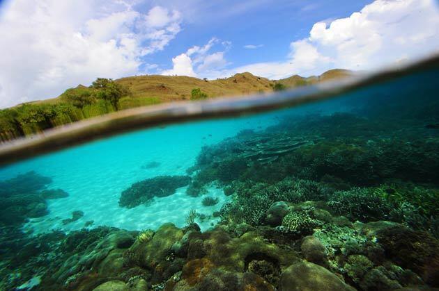 Pink beach