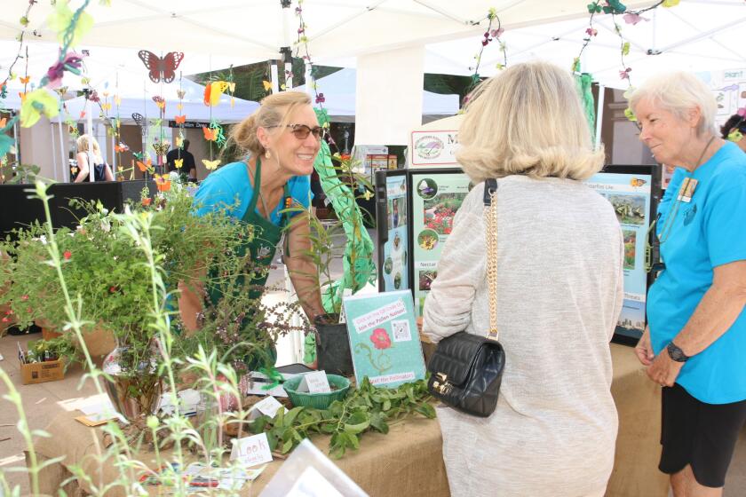 Master Gardeners DeLayne Harmon, left, and Heidi Behnke, right, help answer questions for a visitor to a past event.