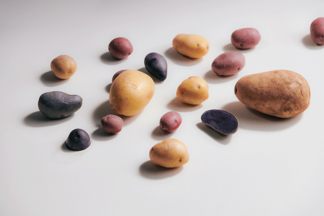 Potatoes of various sizes.