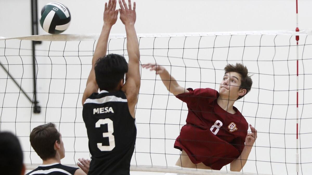 Ocean View High's Jackson Petrovich (8), shown spiking the ball on March 1, 2018, finished with seven kills and 13 digs in the Seahawks' 26-24, 25-20, 25-18 sweep of Santa Ana on Wednesday.