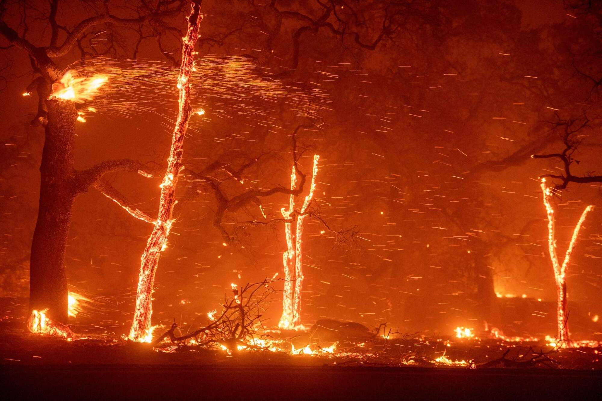 Embers fly as wind and flames from the Camp fire tear through Paradise, Calif., on Nov. 8.