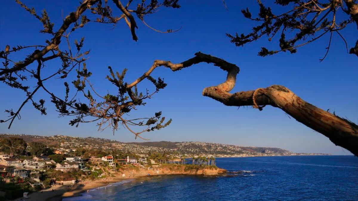 A view of Laguna Beach