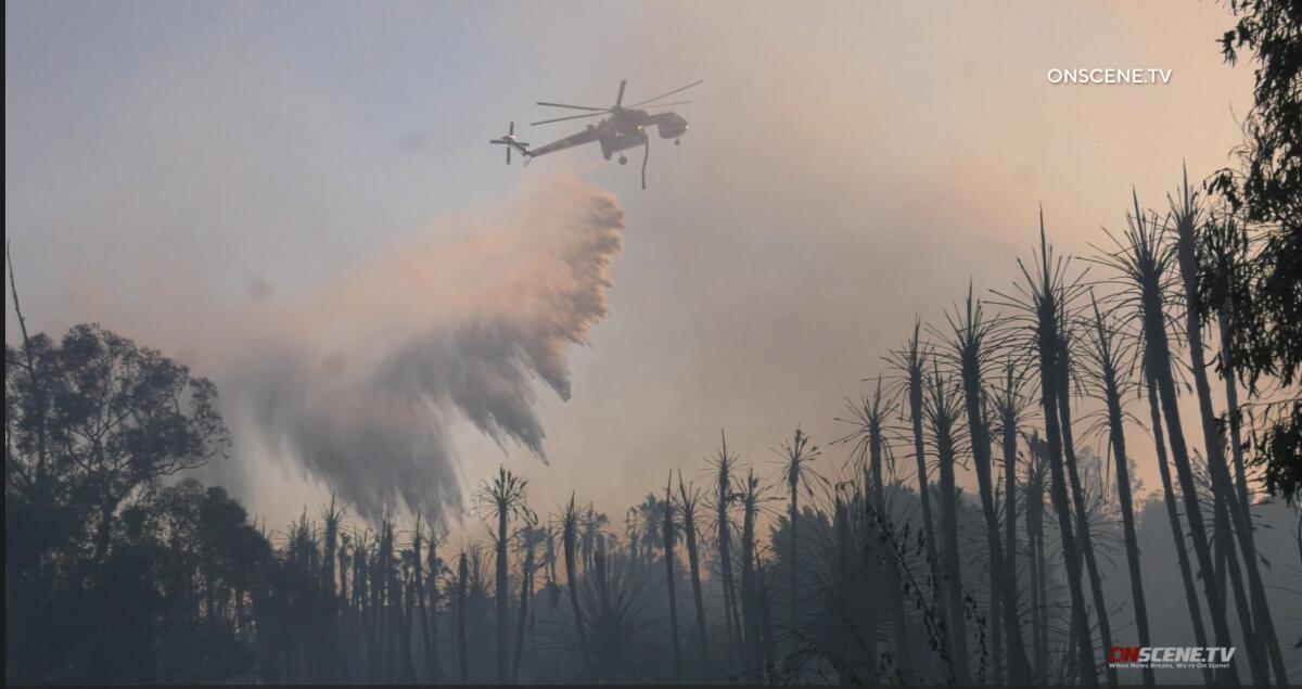 A helicopter drops water over a fire with several burned trees and smoke.