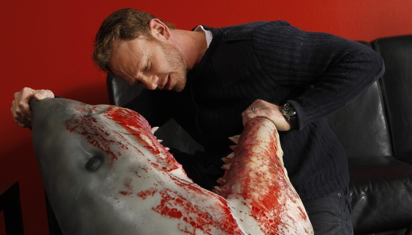 Ian Ziering stars in 'Sharknado 2'