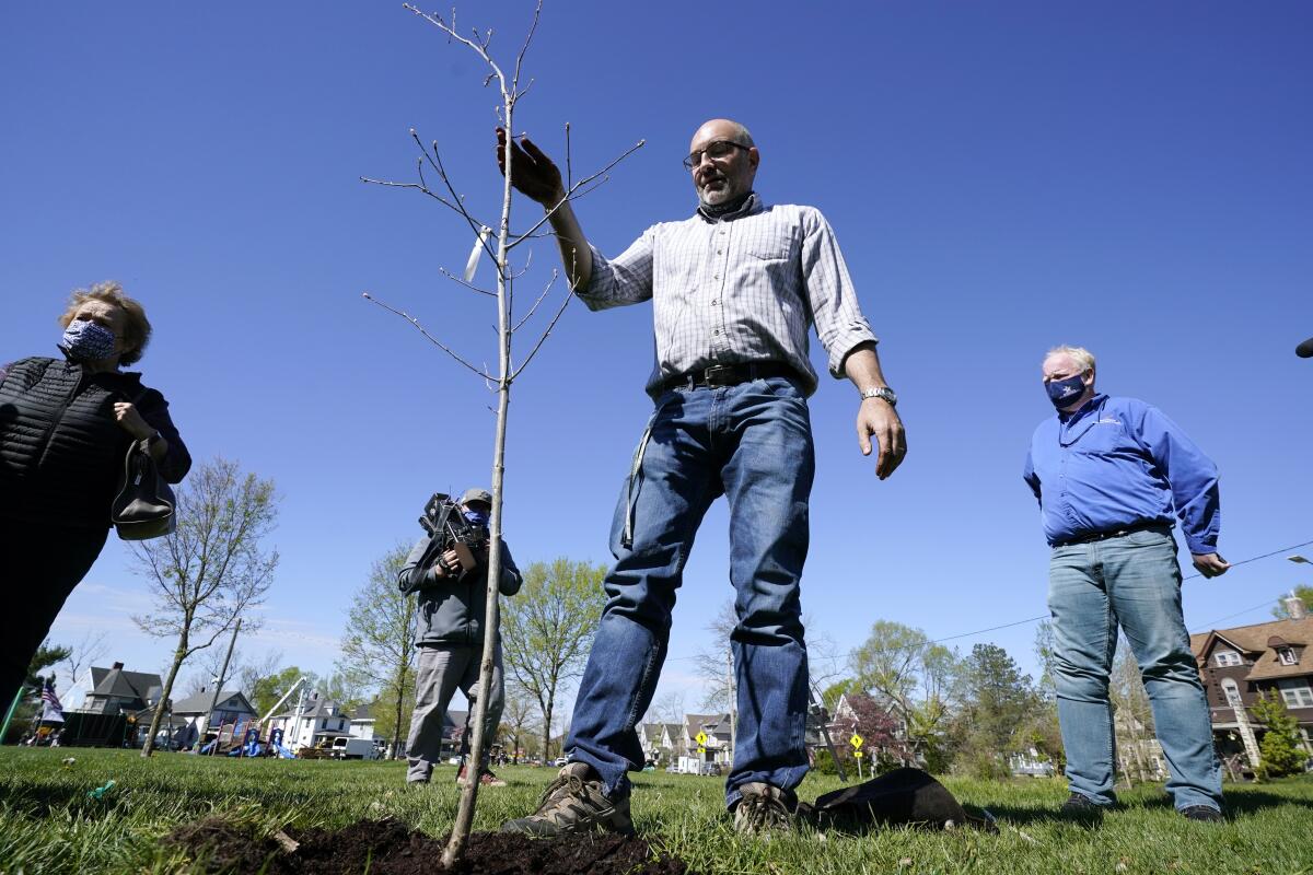City arborist Todd Fagan plants a tree during a tree planting ceremony with school children, Friday, April 30, 2021, in Cedar Rapids, Iowa. A rare storm called a derecho plowed through the city of 130,000 last August with 140 mph winds and left behind a jumble of branches, downed powerlines and twisted signs. Now, city officials, businesses and nonprofit groups have teamed up with ambitious plans to somehow transform what is now a city of stumps back into the tree-covered Midwestern oasis along the Cedar River. (AP Photo/Charlie Neibergall)