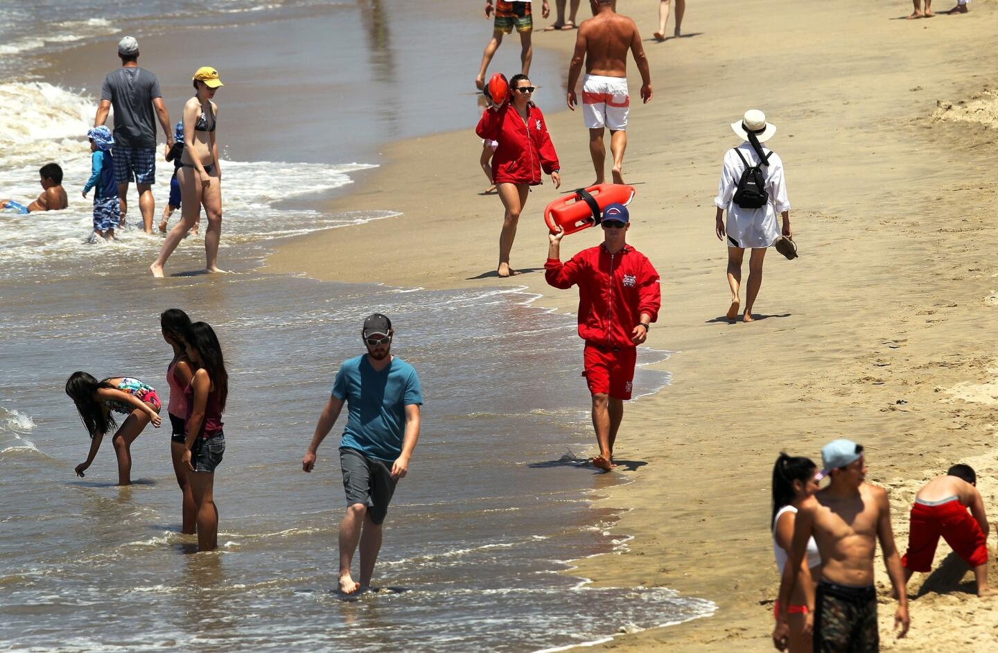 Shark bites man in Manhattan Beach