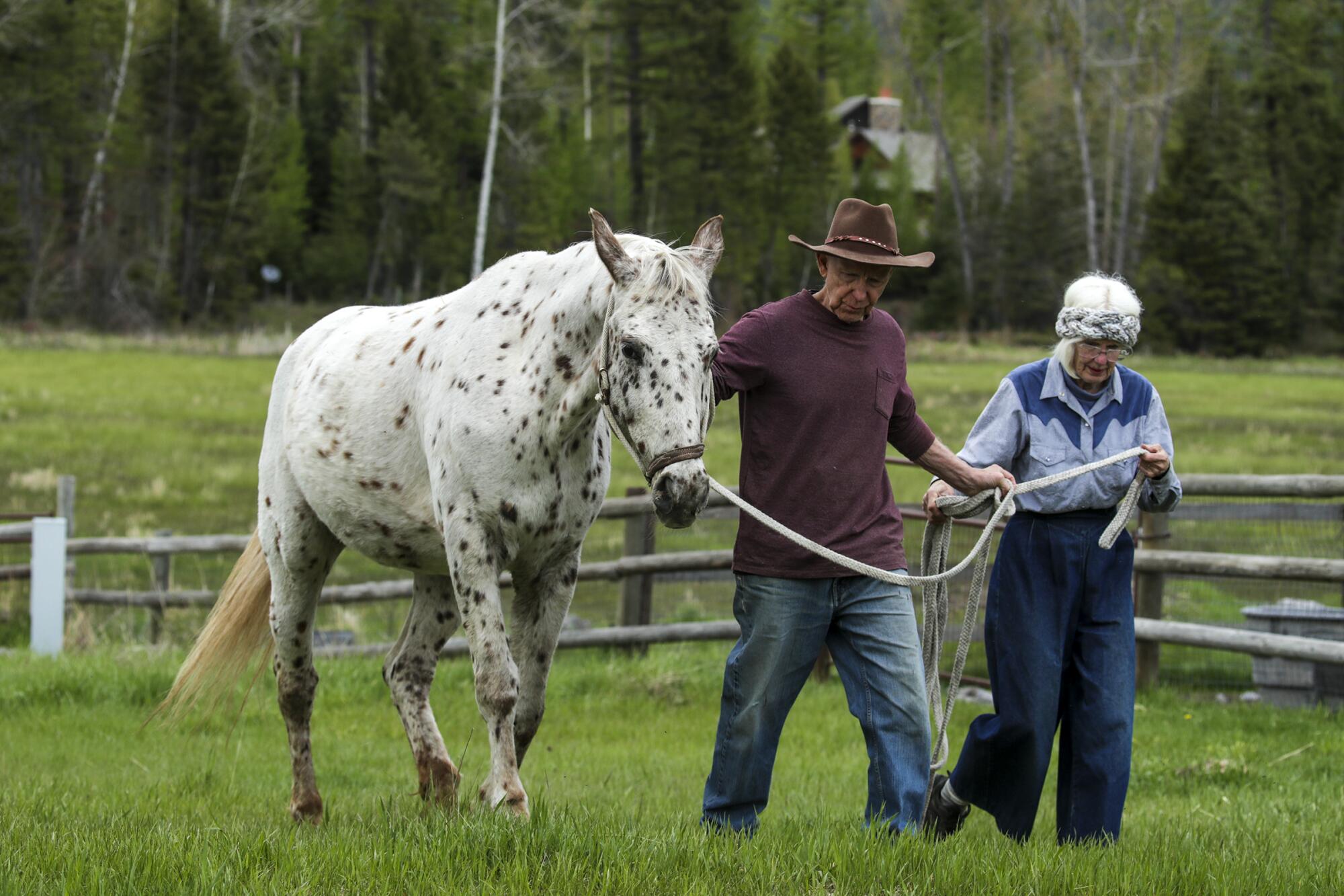 A man and a woman lead a horse through a pasture