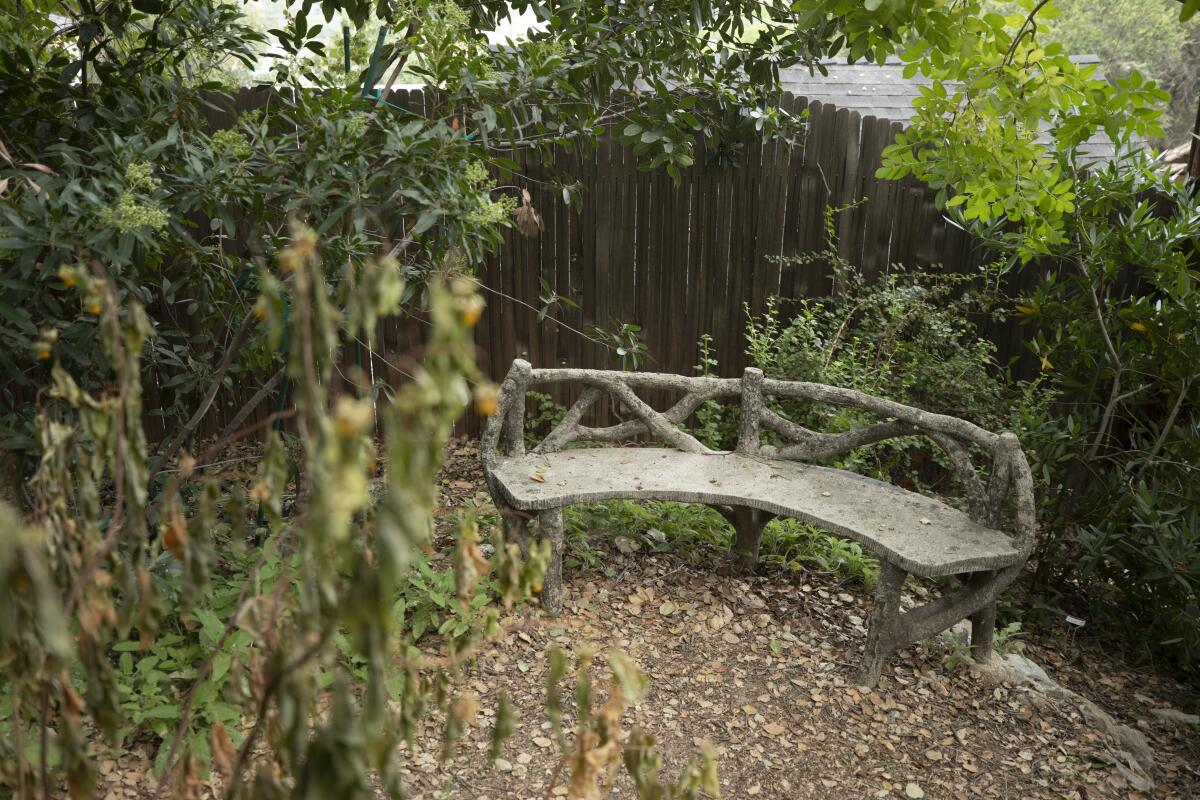 Vintage furniture is placed in a native plants garden.