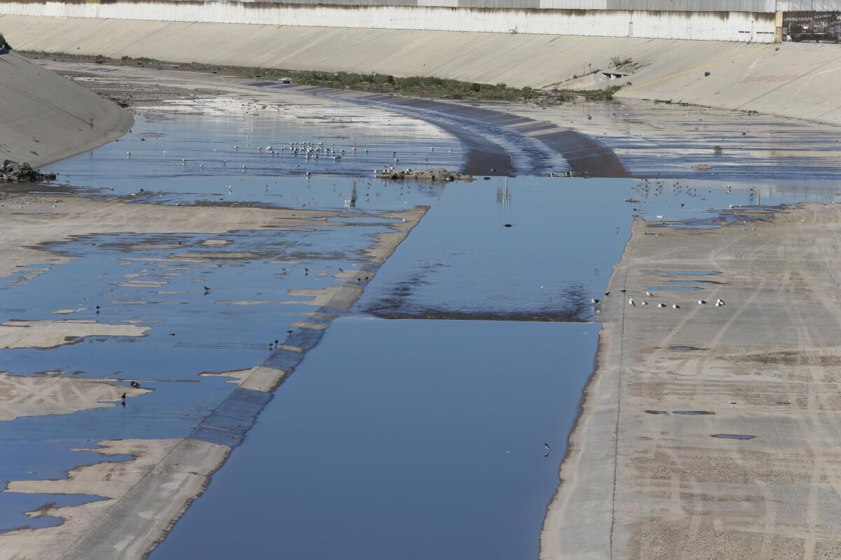 A view of the Tijuana River as it is today. Among the challenges: The concrete channel flushes water that is not fully treated into the ocean.