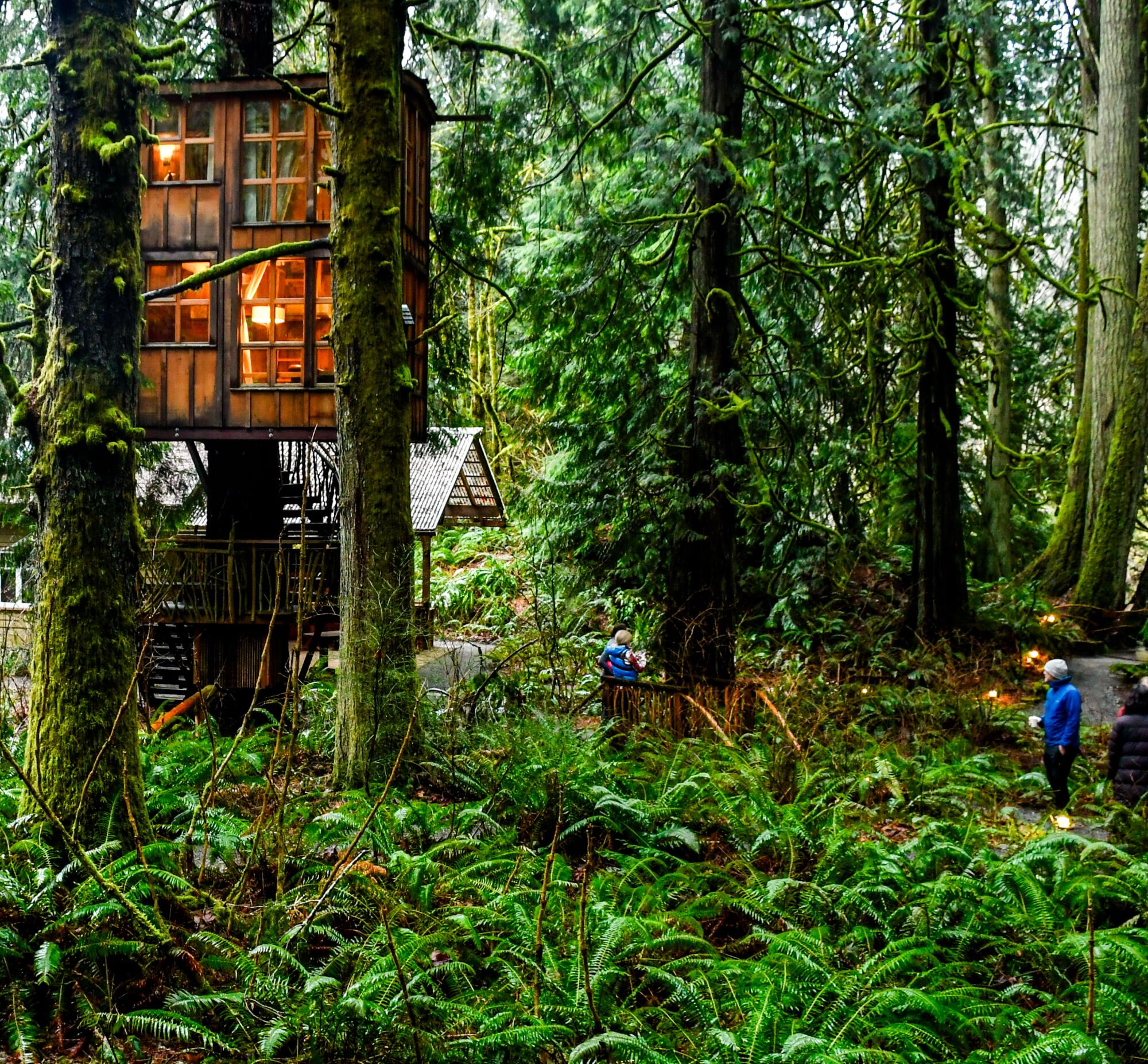 The lights are on in a two-story treehouse in a forest  near Seattle.