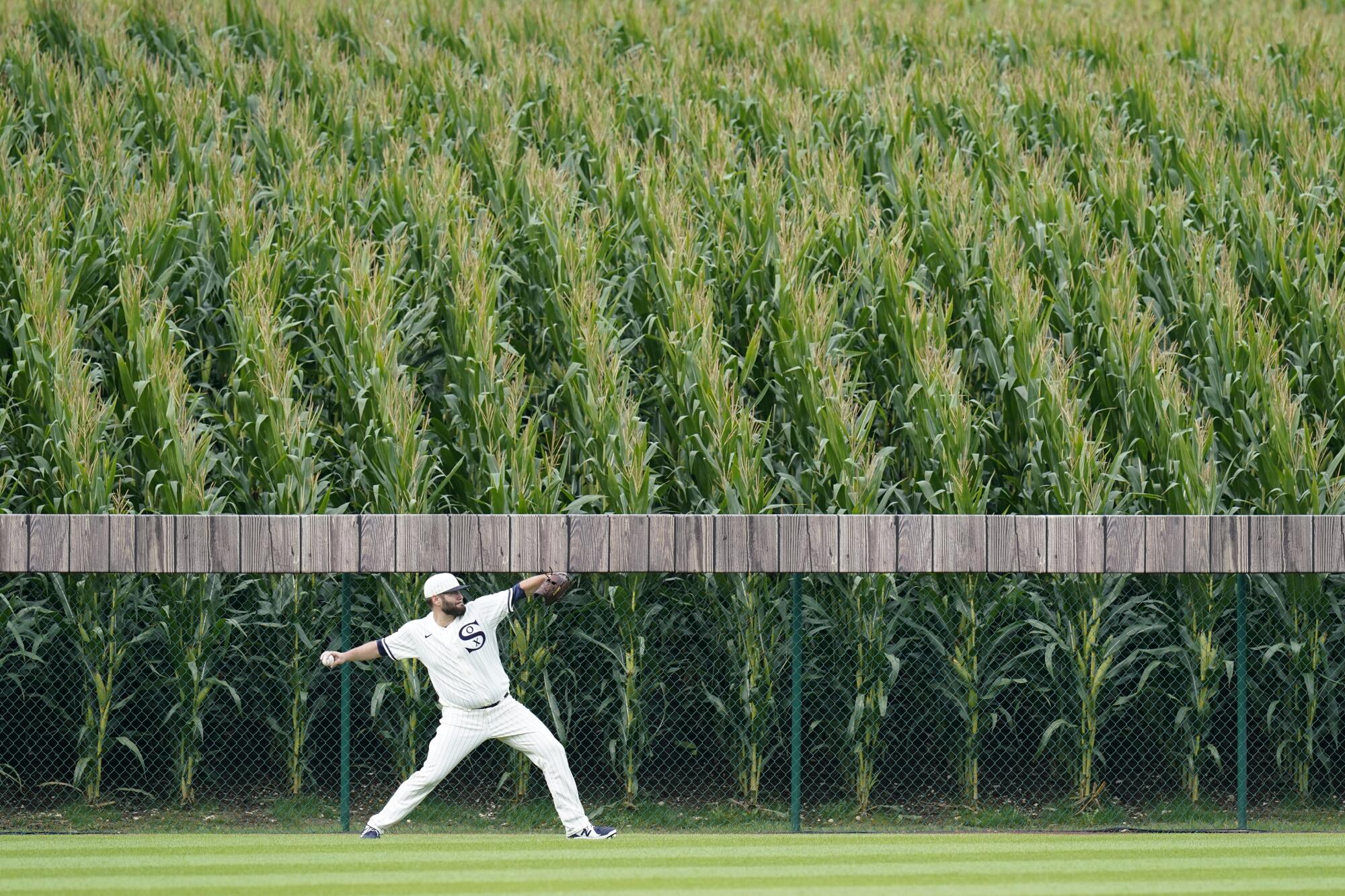 Take me out to the cornfield: See the Field of Dreams back in