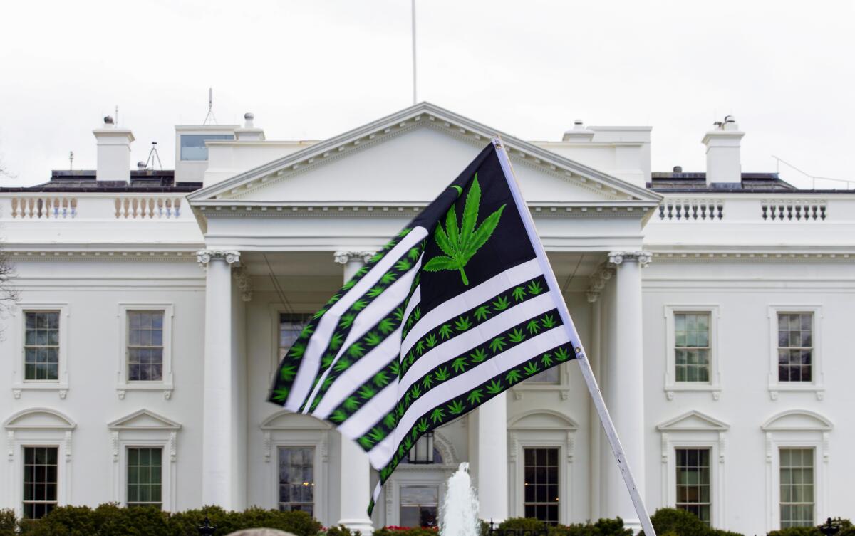 A demonstrator waves a flag with marijuana leaves depicted on it during a protest outside of the White House.