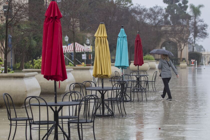 Break time for the sun umbrellas and the rain umbrella was being put to good use on the Plaza de Panama in San Diego's Balboa Park during an afternoon rain shower on Thursday January 31, 2019
