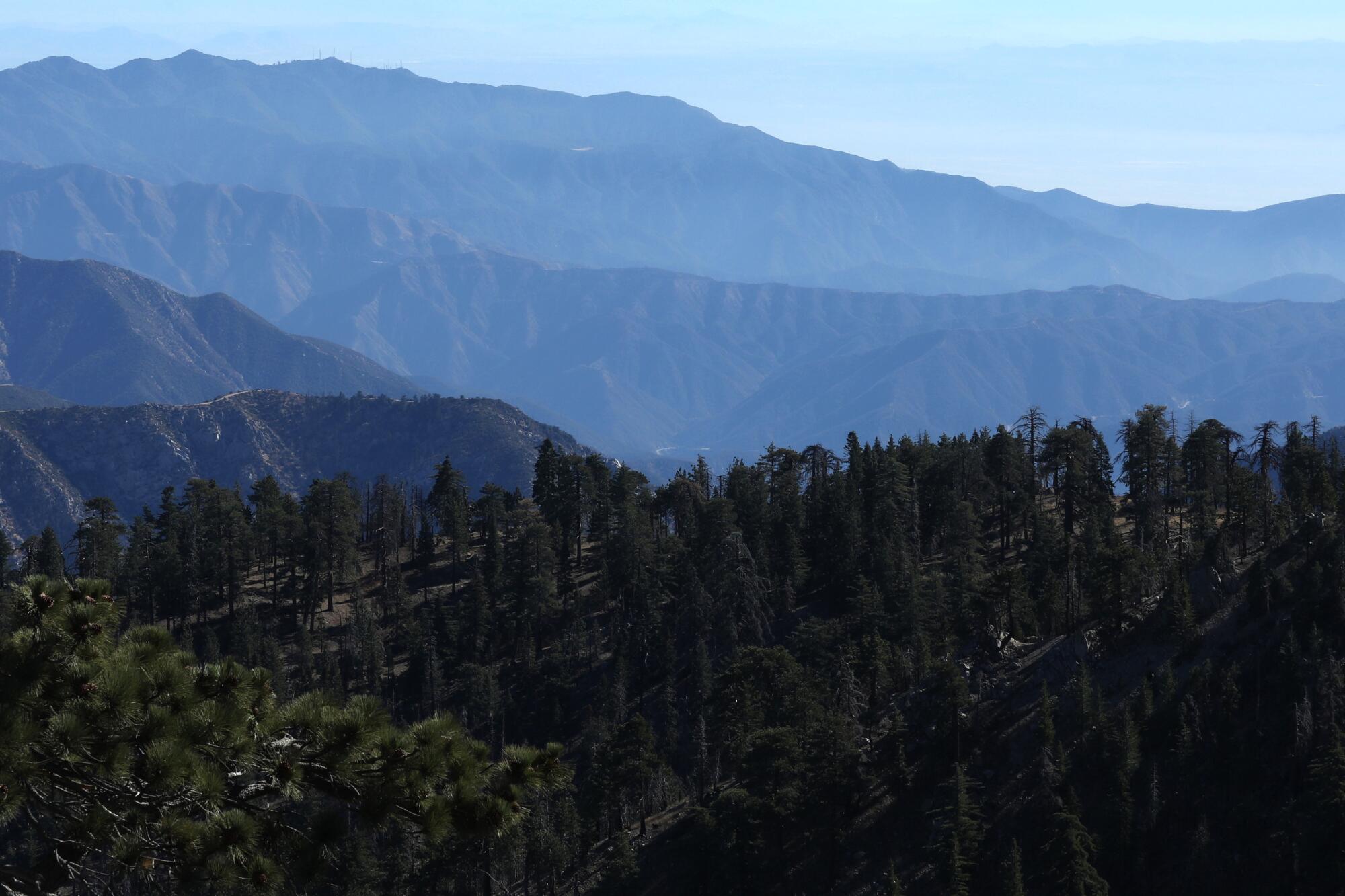 The San Gabriel Mountains in the Angeles National Forest, seen here on November 22, 2024.