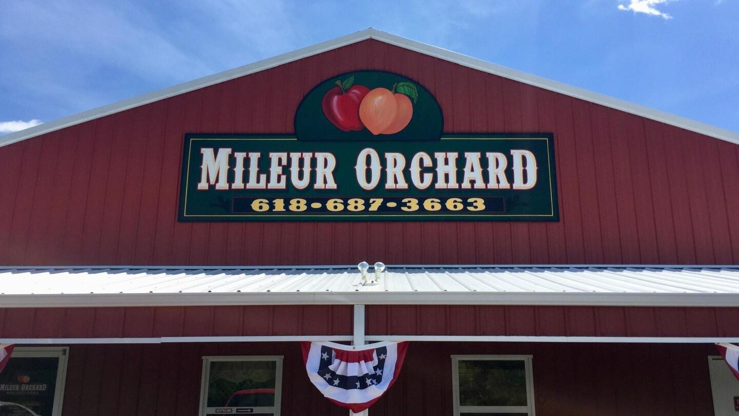 Mileur Orchard