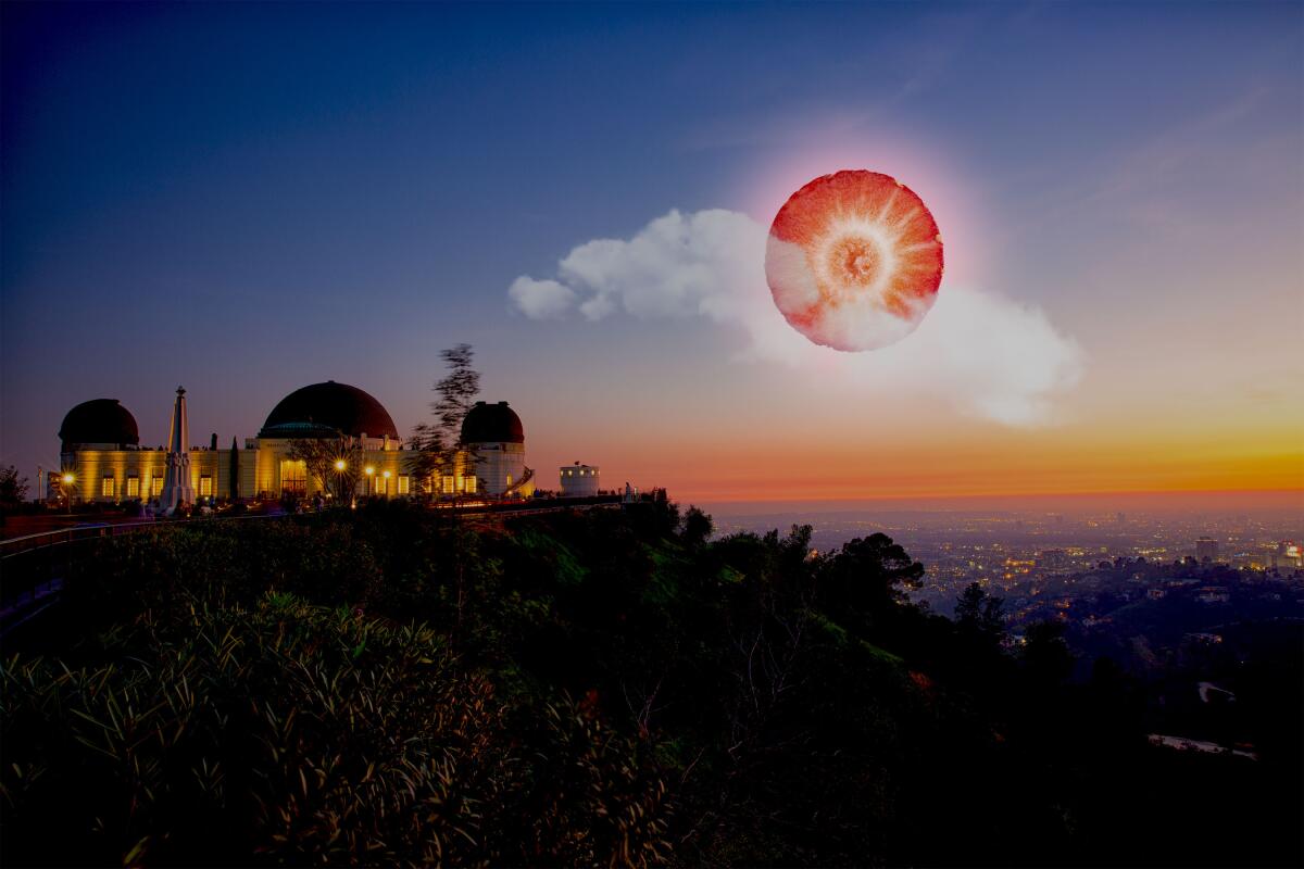 A strawberry moon above Griffith Park