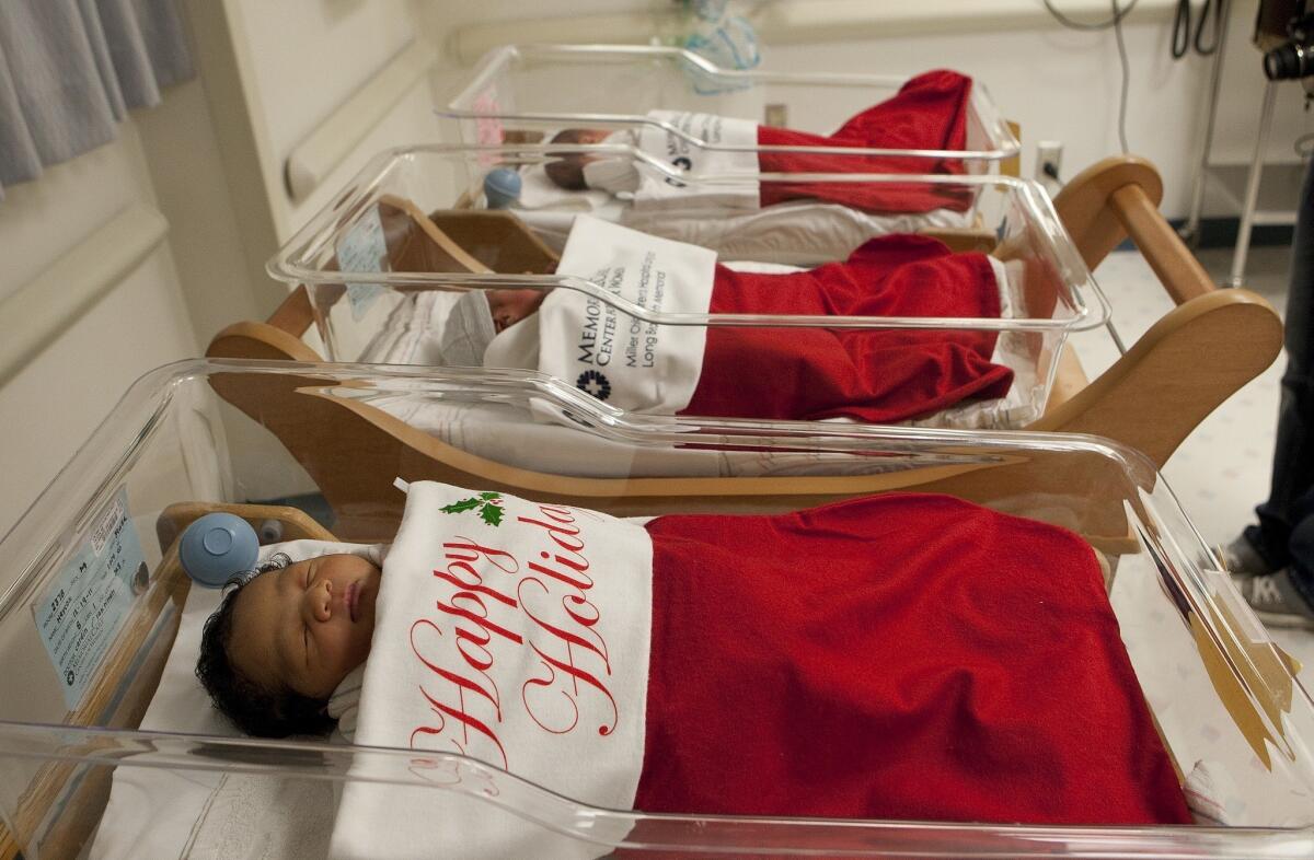 Newborns at Christmastime at Miller Children's Hospital in Long Beach. Birthrates among less-educated women were dragged lower by the recession, a new study indicates.
