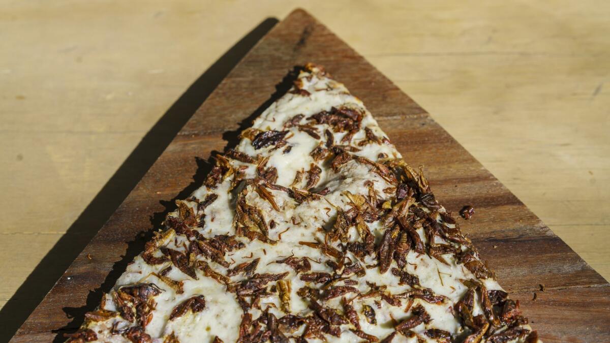 Pixza features typically Mexican toppings on its pizzas, such as roasted chapulines — grasshoppers.