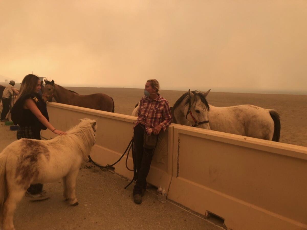 Talley Hutcherson standing near her horses on Zuma Beach.