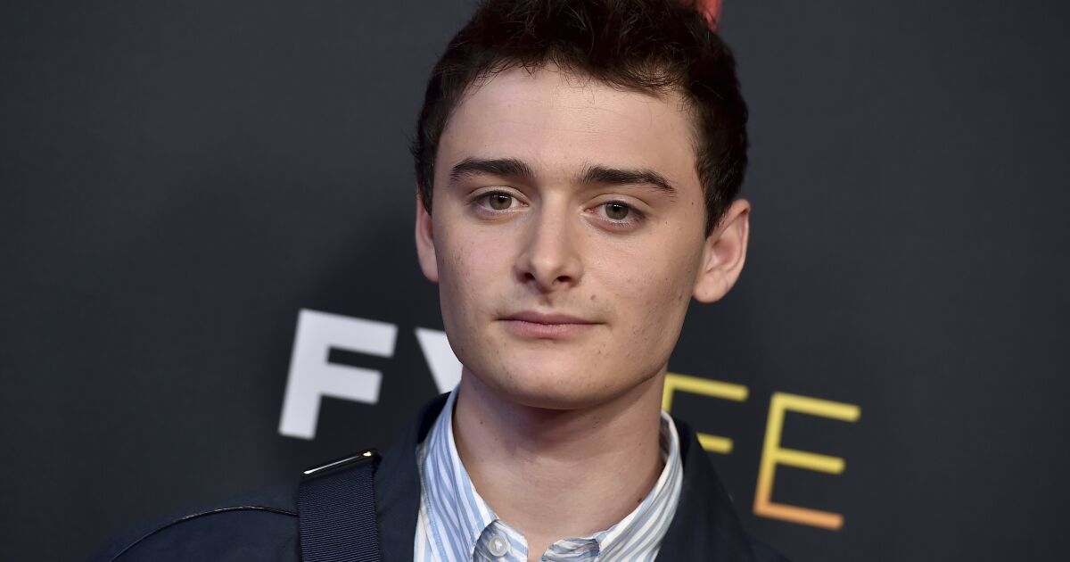 Noah Schnapp says 'Stranger Things' character is indeed gay
