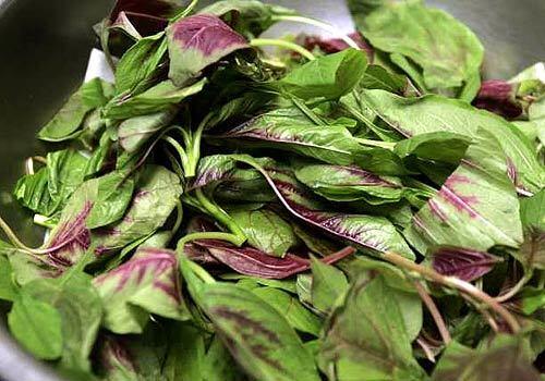 Red spinach or amaranth is also known as ying choy.