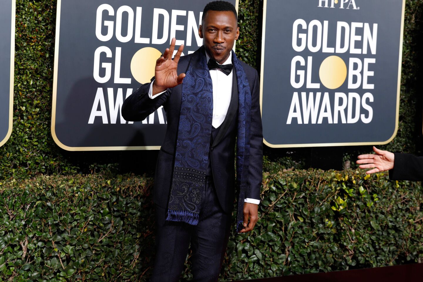 Golden Globes 2019: Best-dressed