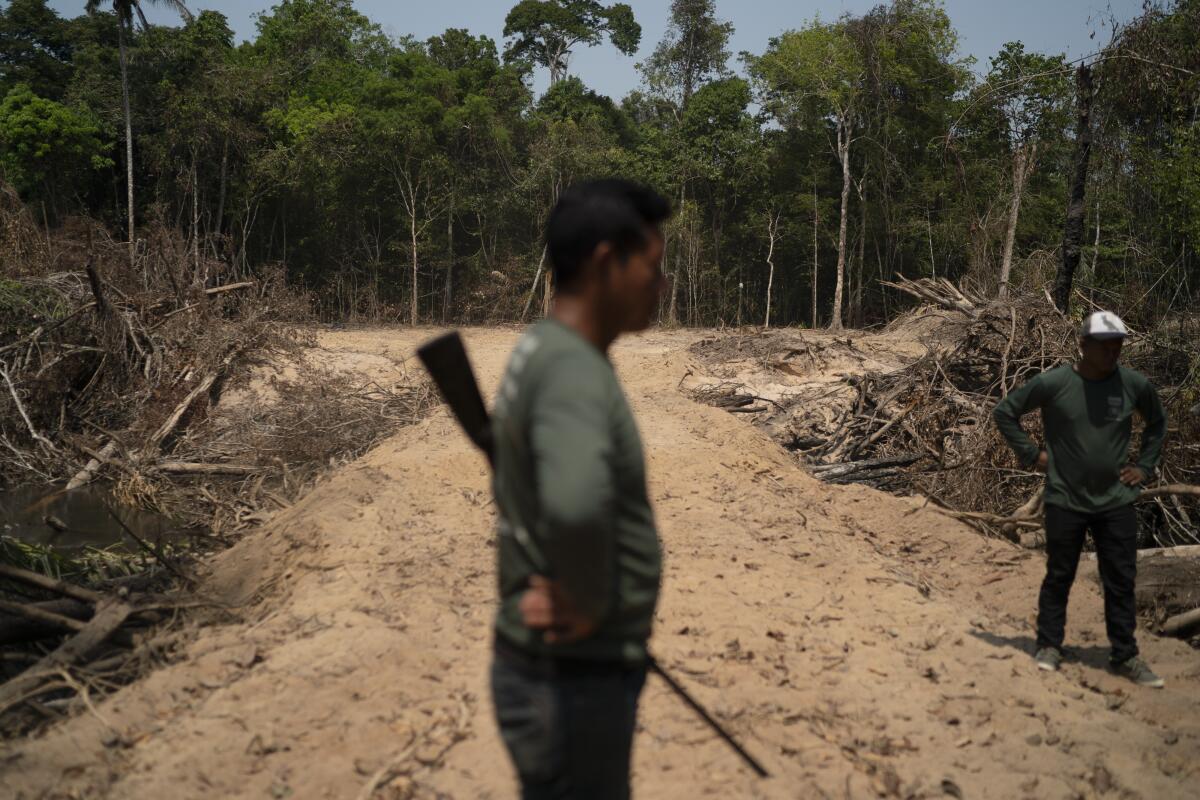 Two men stand on a logging road.