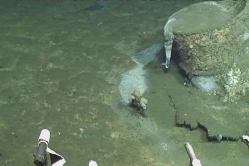 A research expedition led by UC Santa Barbara came across old discarded barrels sitting 3,000 feet underwater near Santa Catalina Island